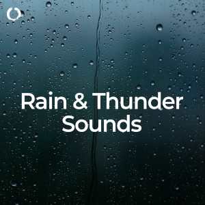 อัลบัม Rain & Thunder Sounds: Best for Sleep ศิลปิน Thunderstorm Sounds