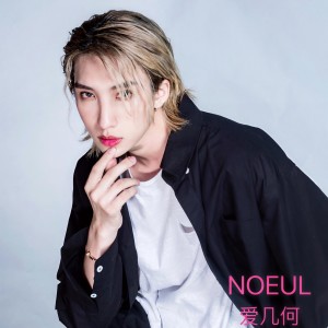 收聽Noeul的愛幾何 (心動版伴奏)歌詞歌曲