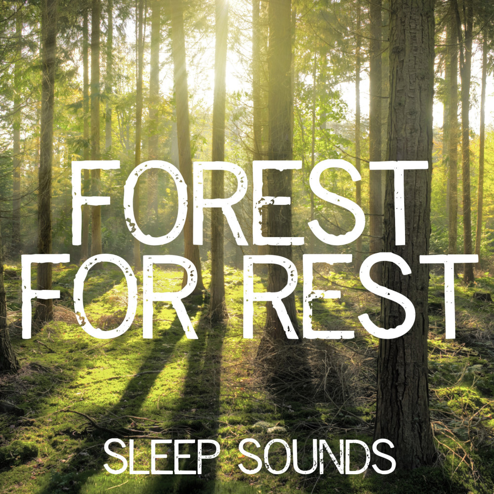 Deep Relaxing Forest