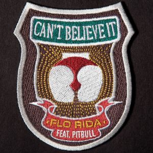 ดาวน์โหลดและฟังเพลง Can't Believe It (feat. Pitbull) พร้อมเนื้อเพลงจาก Flo Rida