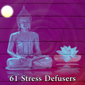 收聽Forest Sounds的Peaceful Spa歌詞歌曲