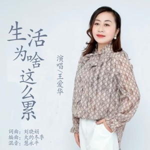 王爱华的专辑生活为啥这么累