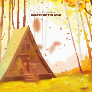 Album breath of the wild from b e r t h