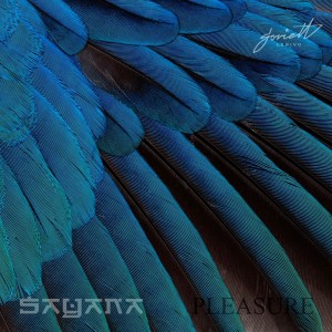 ดาวน์โหลดและฟังเพลง Pleasure พร้อมเนื้อเพลงจาก Sayana
