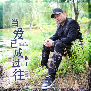 收聽張豐的當愛已成過往 (伴奏)歌詞歌曲