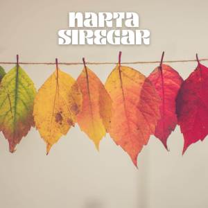 Listen to SAYANG ASA METUA song with lyrics from Narta Siregar