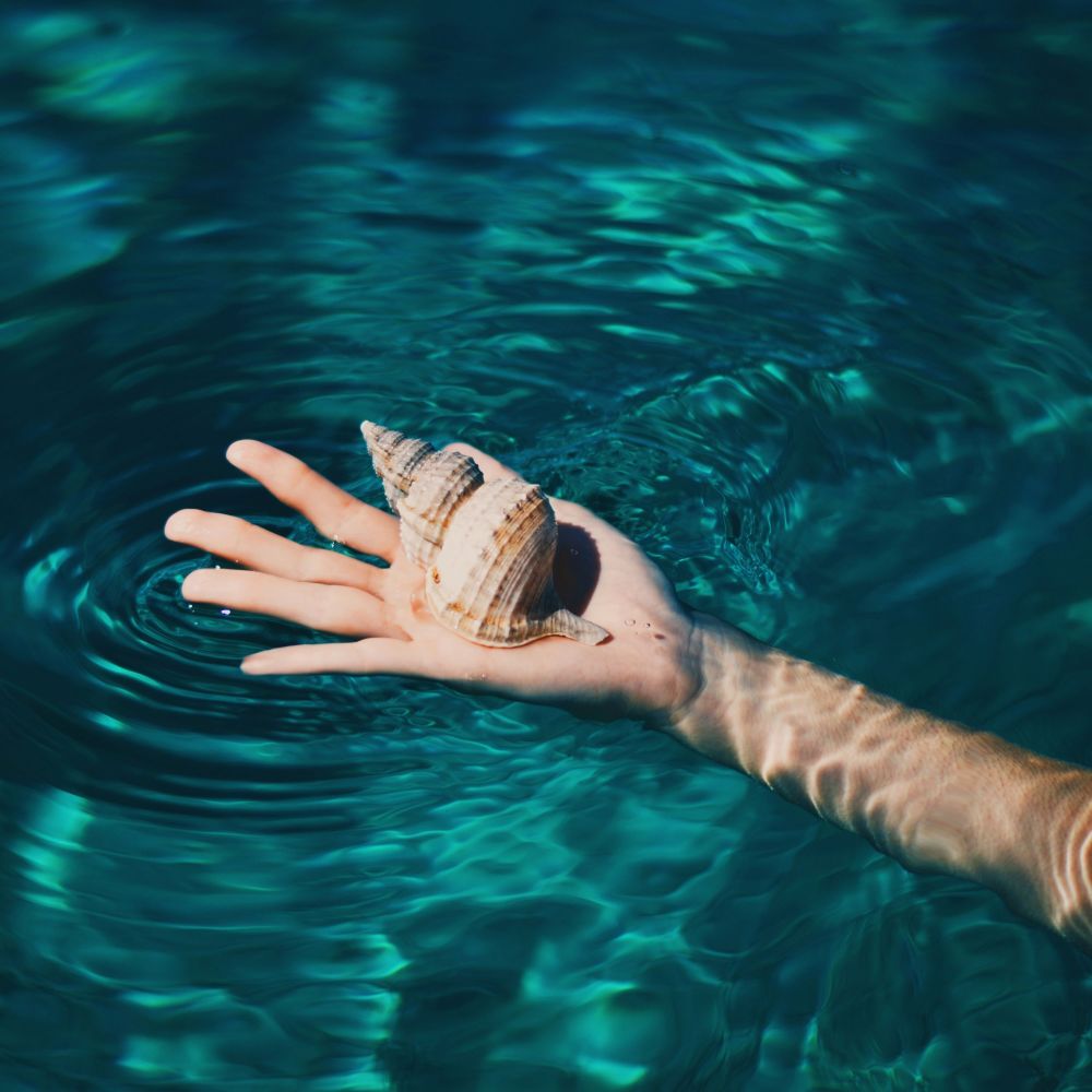The Water