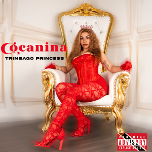 ดาวน์โหลดและฟังเพลง Clumsy (Explicit) พร้อมเนื้อเพลงจาก Cocanina