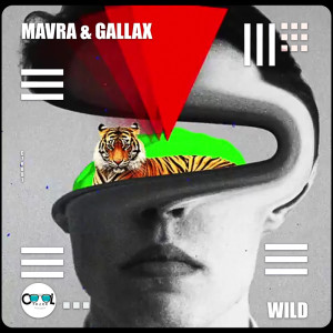 ดาวน์โหลดและฟังเพลง Wild พร้อมเนื้อเพลงจาก Mavra