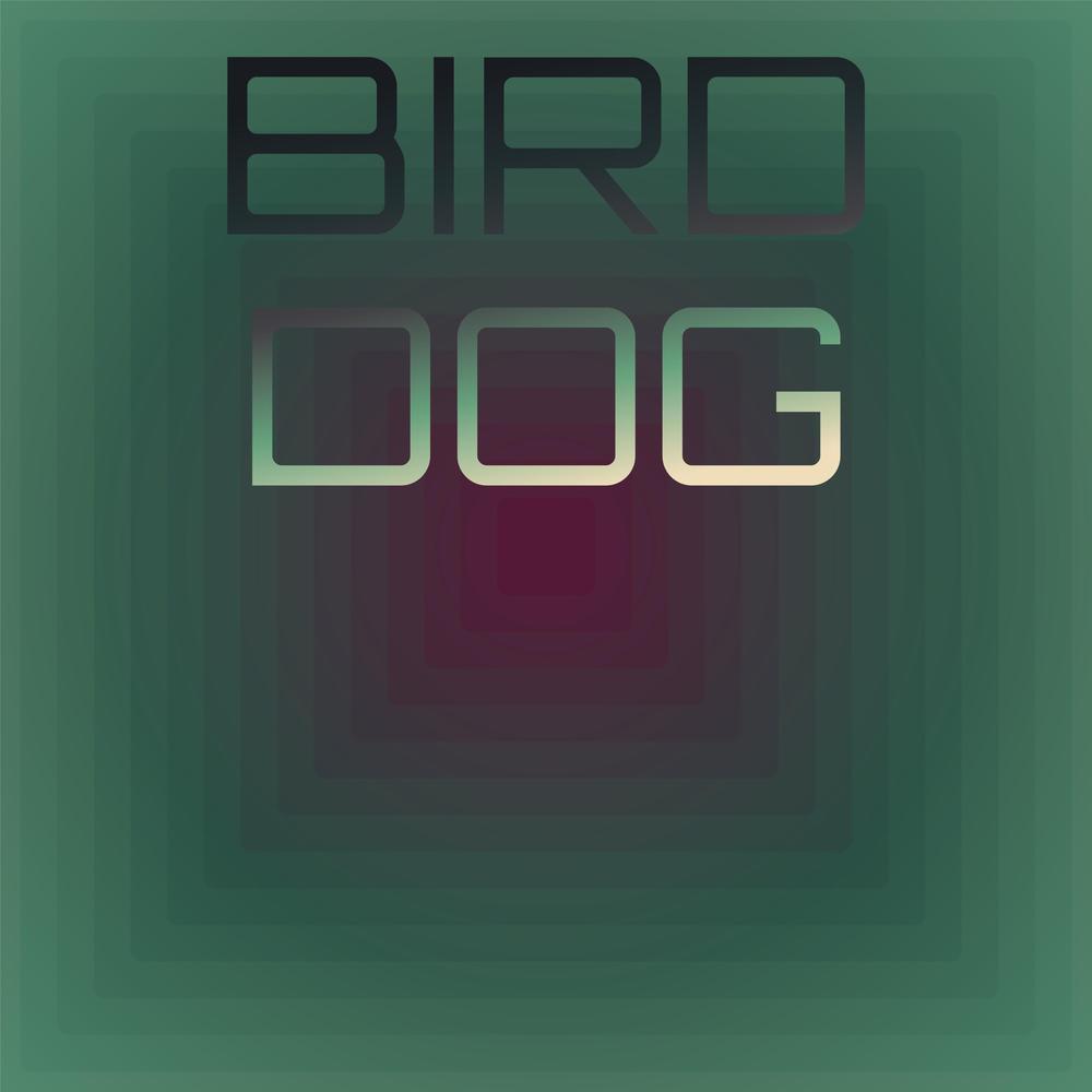 Bird Dog