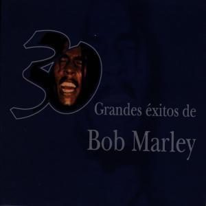 收聽Bob Marley的Mr. Brown歌詞歌曲