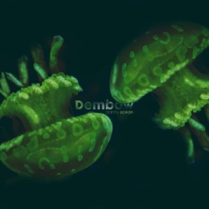ดาวน์โหลดและฟังเพลง Dembow พร้อมเนื้อเพลงจาก Danny Ocean