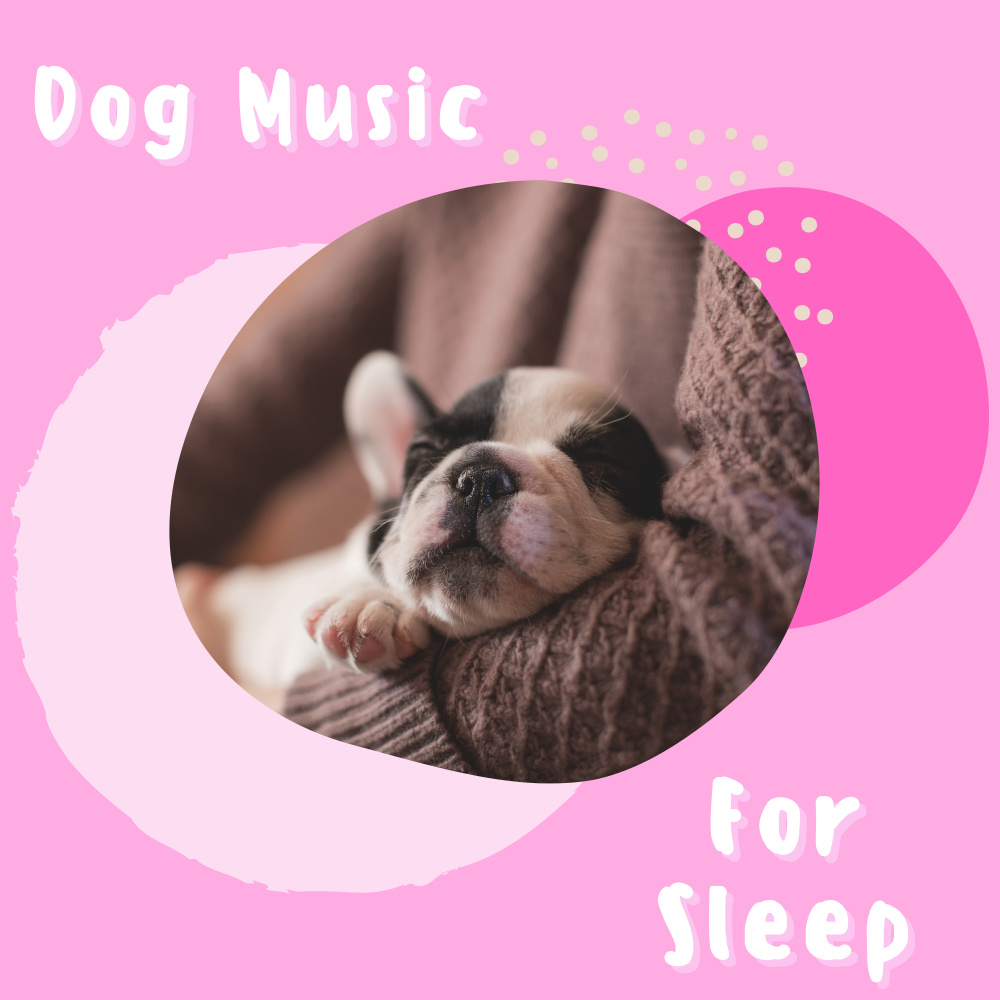 Sleeping music for dogs and cat