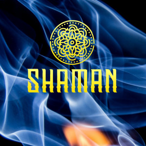 Shaman的專輯Binaural Zen