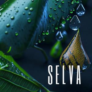 Selva的专辑Paxamanic