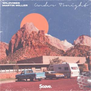 Album Under Tonight from WildVibes