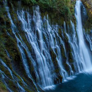 Dengarkan lagu Walk Through Woods nyanyian Asian Zen Meditation dengan lirik