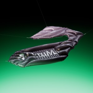 Album The Circle from Eprom