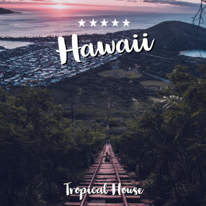 Album Hawaii from Tropical House