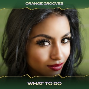 Orange Grooves的專輯What to Do