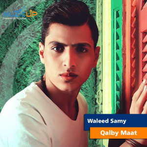 Waleed Samy的專輯Qalby Maat