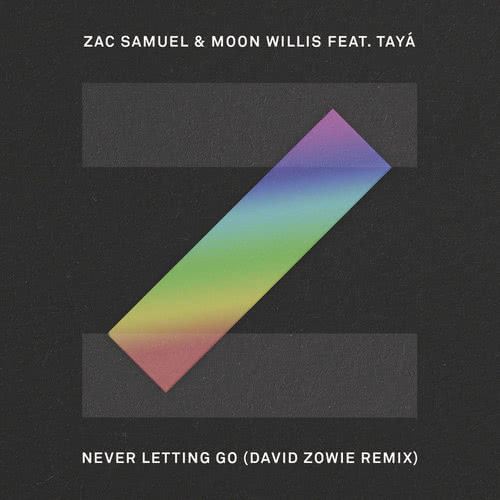 Never Letting Go (David Zowie Remix)