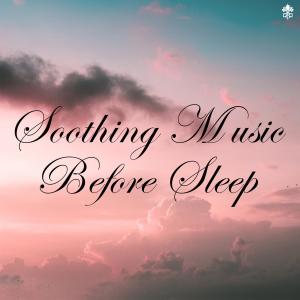 Listen to Midnight Moon(feat. Elleodin) song with lyrics from LeVirya