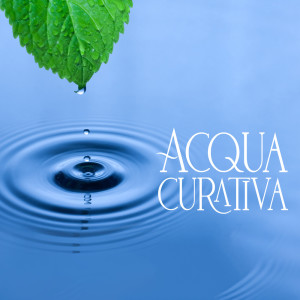 Dengarkan Massaggio ayurveda lagu dari Musica Terapeutica Naturale dengan lirik