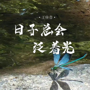 Listen to 日子总会泛着光 song with lyrics from 王佳音