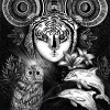 default album img