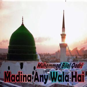 收听Muhammad Bilal Qadri的Madina Any Wala Hai歌词歌曲