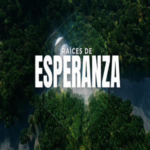Album Raíces De Esperanza from Alabanzas Cristianas