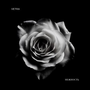 Listen to Нежность song with lyrics from Vetra