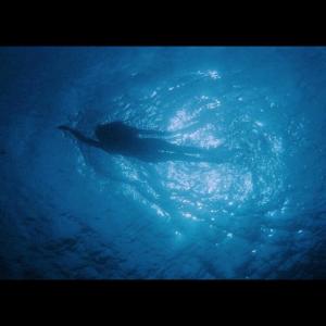 收聽Syierr的ENOUGH (Explicit)歌詞歌曲