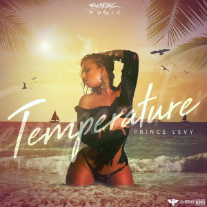 Listen to Temperature (Explicit) song with lyrics from Prince Levy