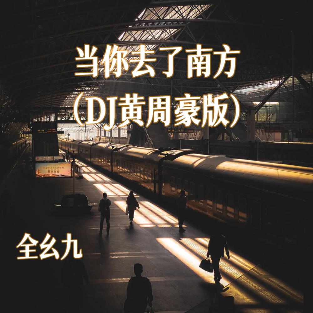 当你去了南方 (DJ版伴奏)