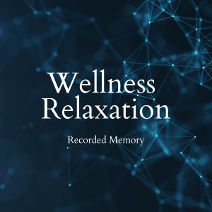 Album Recorded Memory - Wellness Relaxation from Seeking Blue
