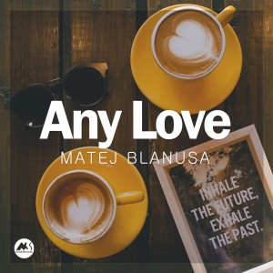 Album Any Love from Matej Blanusa