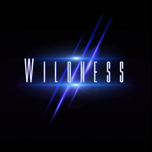 Dengarkan Down in the City lagu dari Wildness dengan lirik