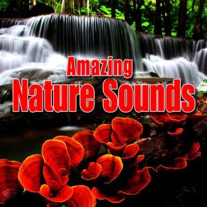 收聽Best Nature Sounds的Distant Thunder Rolls Past Sound Effect for Deep Meditation and Restful Sleep歌詞歌曲