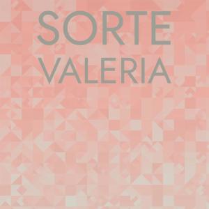 Album Sorte Valeria from Various
