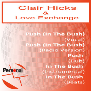 Dengarkan Push (Dub) lagu dari Clair Hicks dengan lirik