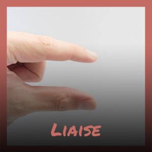 Various的专辑Liaise