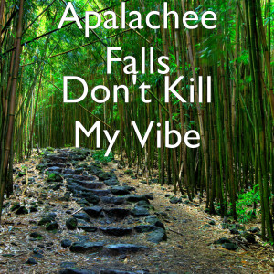 ดาวน์โหลดและฟังเพลง Don't Kill My Vibe พร้อมเนื้อเพลงจาก Apalachee Falls