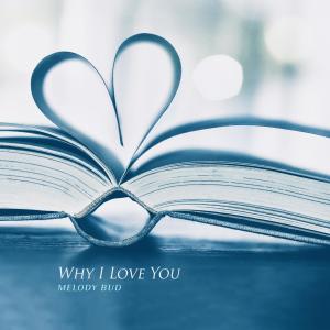 Listen to Memories That Fall Asleep In Love song with lyrics from 멜로디버드