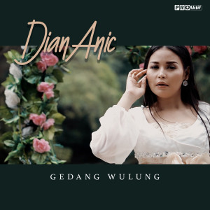 Dengarkan Gedang Wulung lagu dari Dian Anic dengan lirik