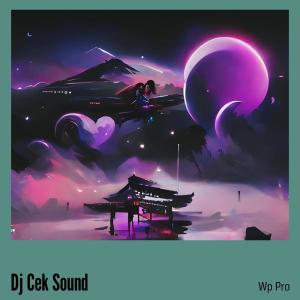 Dengarkan Dj Cek Sound (Remix) lagu dari Wp Pro dengan lirik