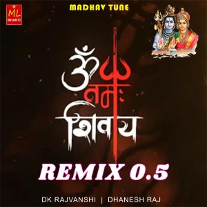 DK Rajvanshi的專輯Om Namah Shivay (LoFi Mix) 0.5 (feat. Dhanesh Raj)