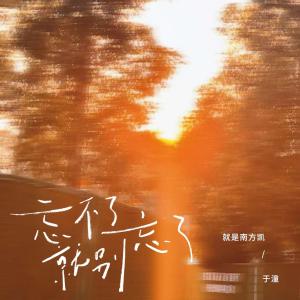 Listen to 忘不了就别忘了 song with lyrics from 就是南方凯