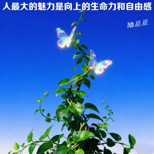 Album 人最大的魅力是向上的生命力和自由感 from 陆星星